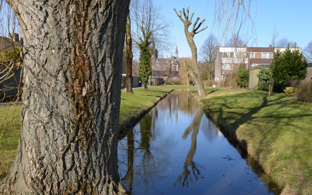 Herstel verbinding Achterburggracht – Machinesloot
