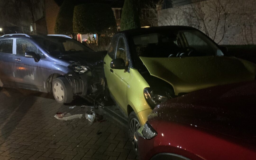 Vrouw verliest macht over het stuur en richt ravage aan op de Langeweide