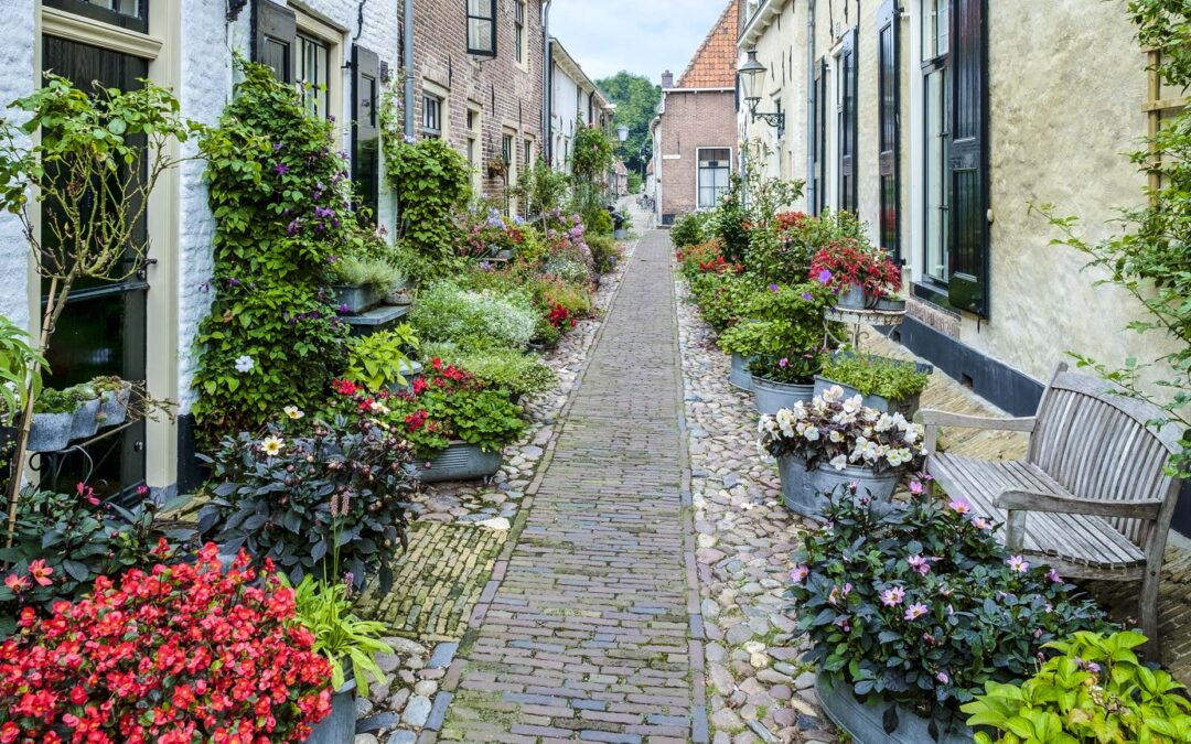 Groene Straten in Langedijk en Heerhugowaard Gezocht