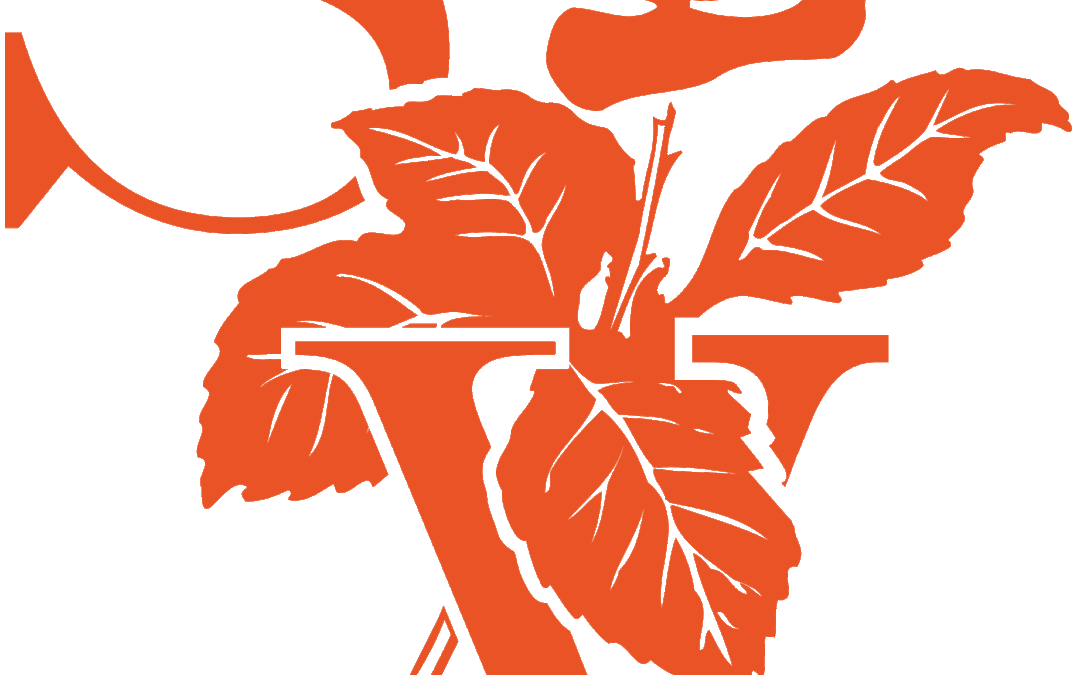 Stins en Vijn Broek op Langedijk