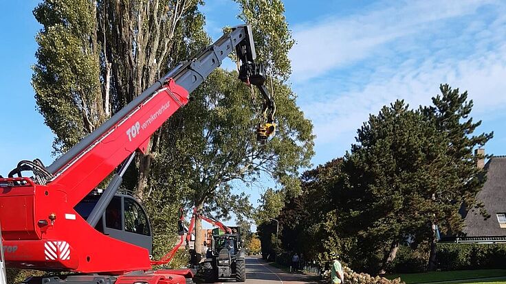 csm_Onderhoud_bomen_liggend_6d90270416