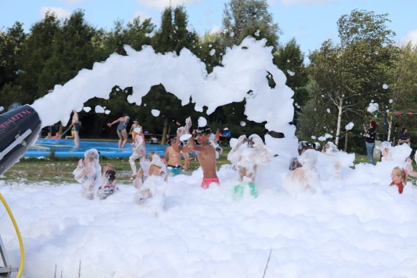 27 en 28 juli: Swaanzinnig Familie Festival