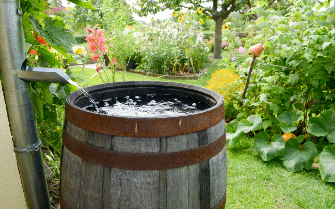 Nieuw: subsidie Klimaat en Water voor inwoners Dijk en Waard