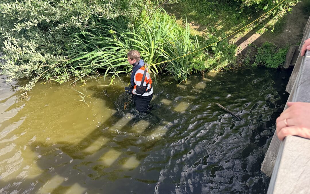 grootschalige inzet hulpdiensten in Broek op Langedijk na melding persoon te water