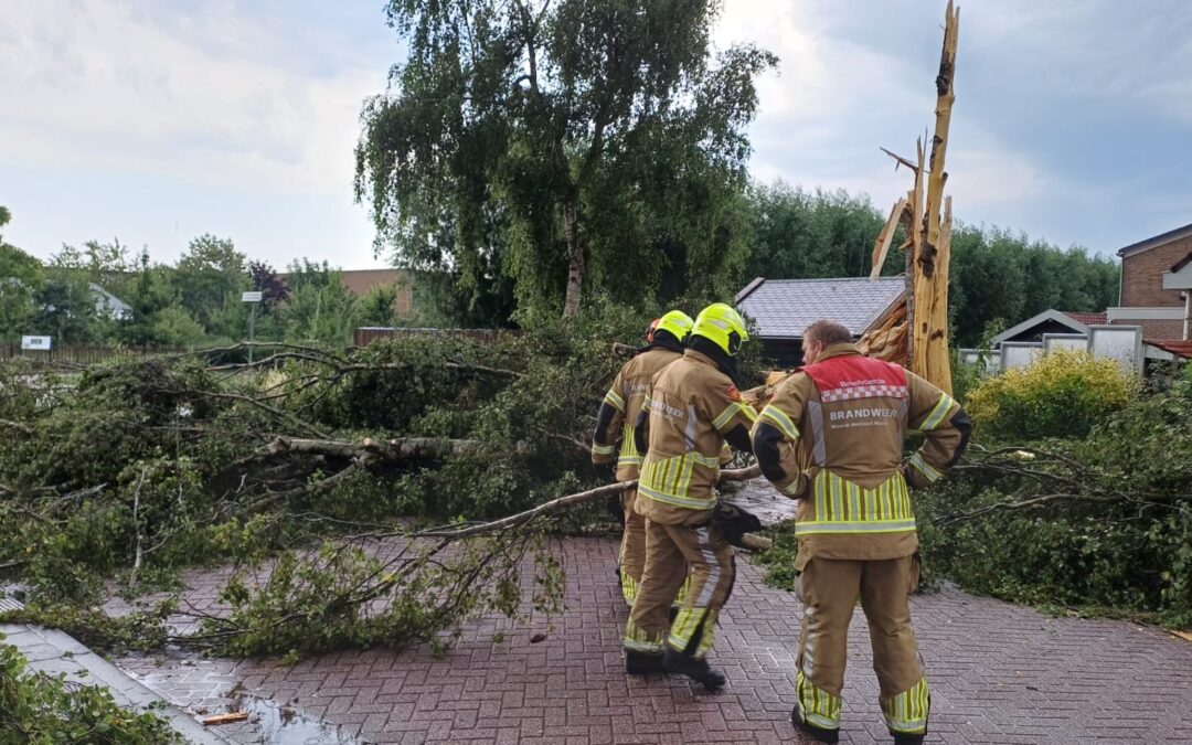 Blikseminslag veroorzaakt flinke schade in Obdam: boom over de weg en schoorsteen gespleten