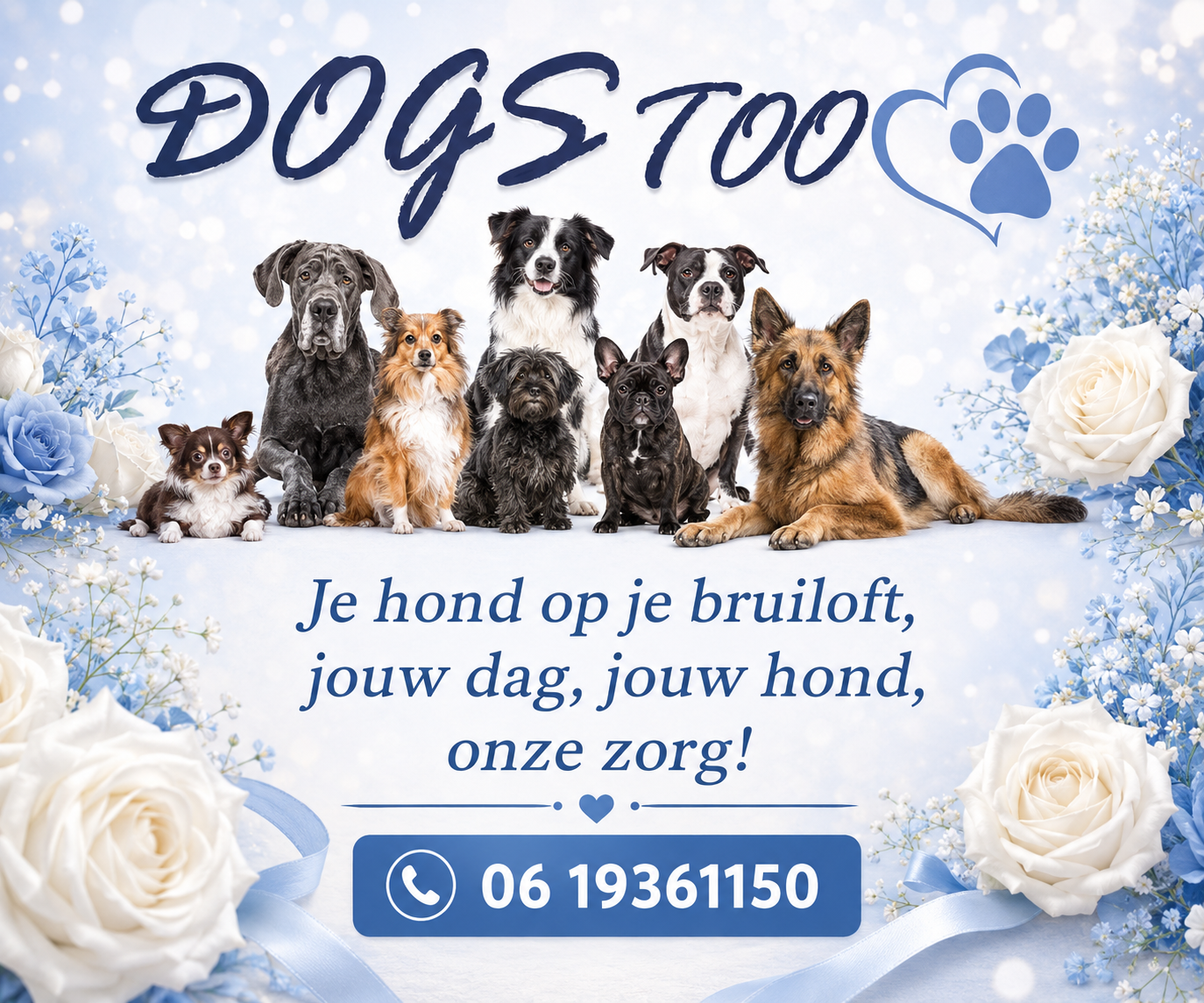 dogs